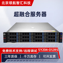 �m�Ç��η�����SY204-D12RS-G2�p·����AMDģ�M����U�C��ʽ������