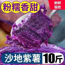 正宗沙地紫薯10斤批发价现挖紫地瓜整箱包邮番薯红薯2/5/9斤任选1