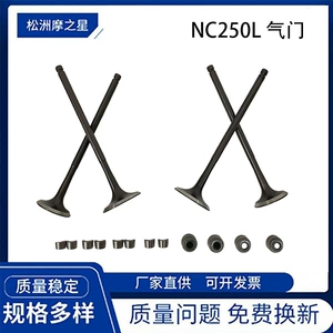 Zongshen NC250 ZS177MM üçün NC250L Motosiklet Mühərrik Klapan Dəsti