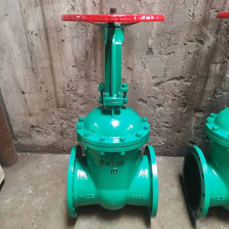 衬胶法兰闸阀Z41J-10C手动法兰衬胶闸阀 排污衬胶闸阀 水处理闸阀