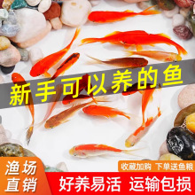 �ݽ��~���~�\���~���^�p�~��ˮ�~��ˮ�~С���ͻ���wС���~�t�ݽ�