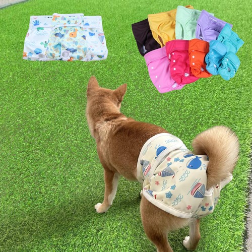 Cross-border supply of dog menstrual pants, waterproof solid color diapers with adjustable buckles, female dog menstrual pants, pet menstrual pants