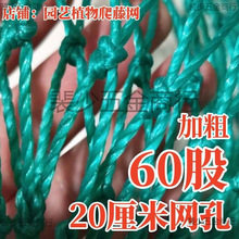 �@ˇֲ�����پW�ϾW��Ͻz���S�϶������Ѱ�������������W��ܾW