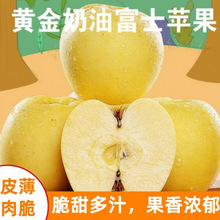 ��̨���͸�ʿ�O�������֭�������r������O���������l���]