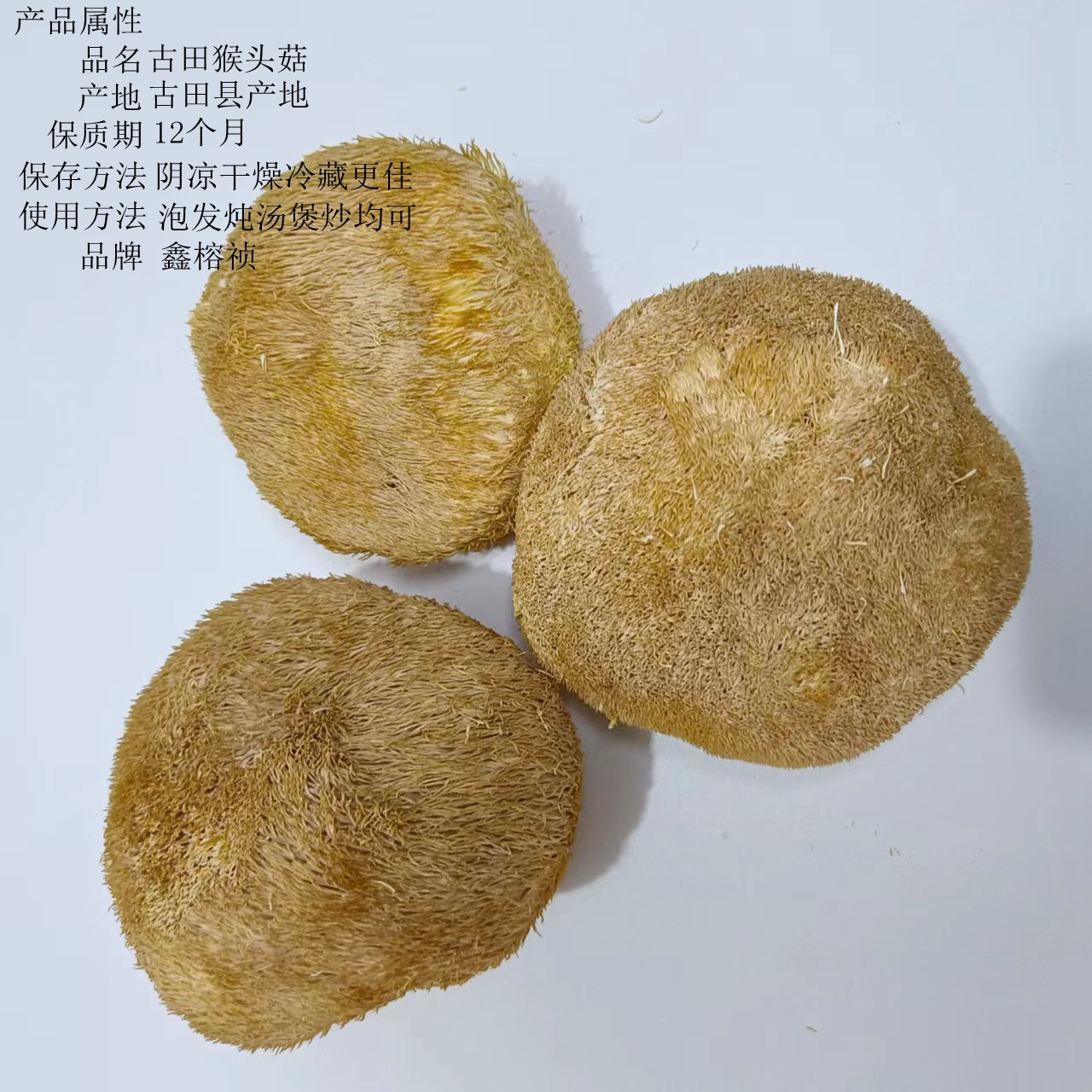 大朵猴头菇