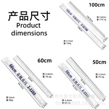 һ��100cm����͸���л�ֱ��ѧ����ʦ�滭�������׳�