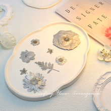 �yɫ���Ĺ��Sֱ�N�ɻ�������ɫϵ��ֲ��˱��滨���~Ѻ�����ϰ�