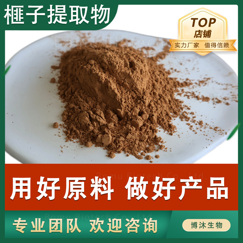 榧子提取物 30:1现货喷雾干燥榧子粉原料榧子提取物