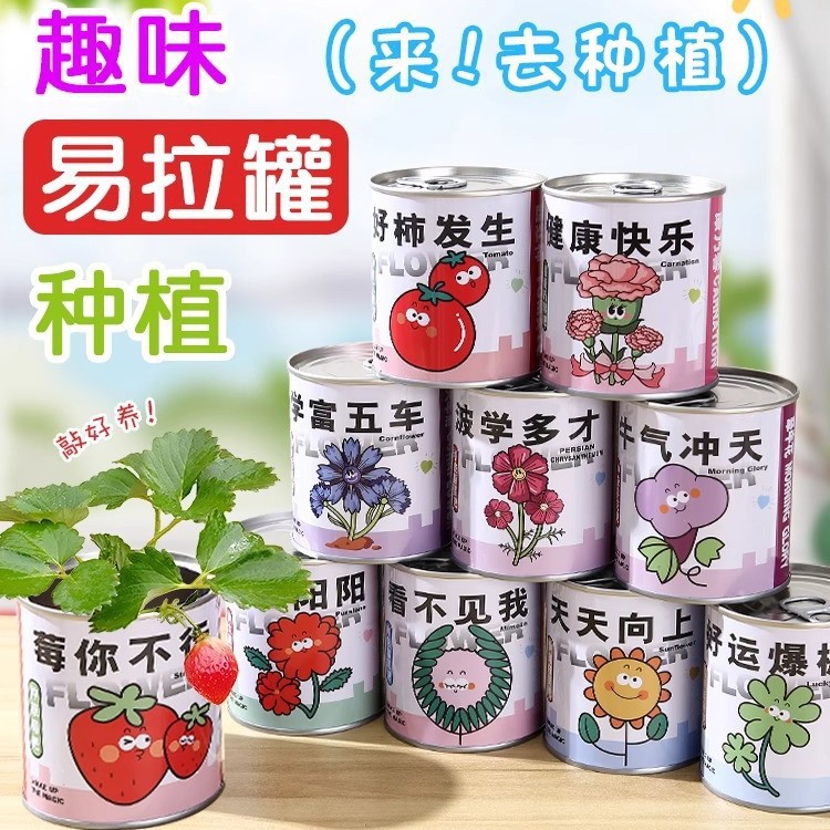 儿童种植易拉罐盆栽绿植盲盒幼儿园小学生植物生长观察发芽种子