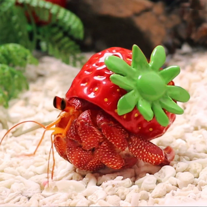 Милые домашние животные, наземные термиты-ракаты? (terrestrial hermit crabs)"