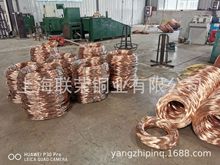 ����C5210�~��  �~��&phi;8  C5100�~��  C5191�~���~�Ͻ�