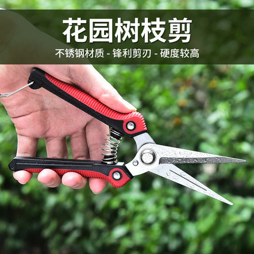 Stainless steel pruning shears, flower potted garden tools, branch grafting scissors, fruit picking spring fruit tree shears