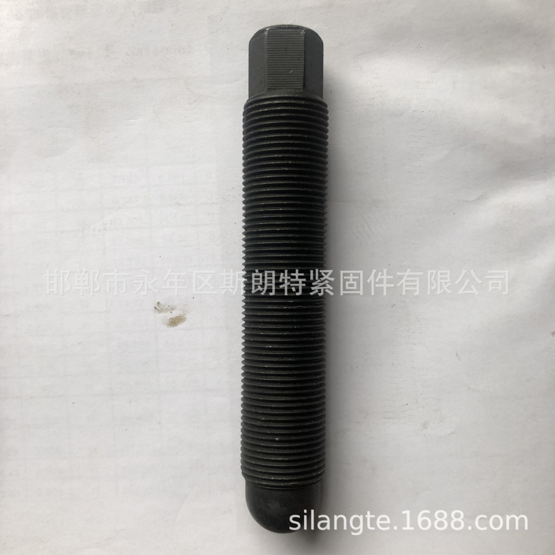 ˿  ˿   ˨ س˿ ܶ˿