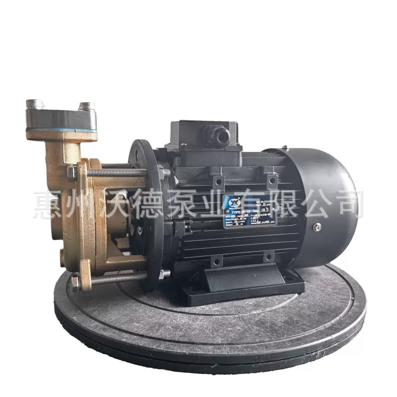 耐高温导热电动油泵WD-33模温机热水旋涡离心泵铜叶轮反应釜配套