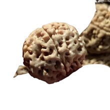 菩提原色菩提满肉手串男菩提子秒大金刚沉菩提珠子文玩