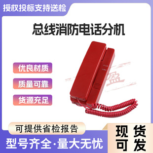 �������Ԓ�֙C���������Ԓ�֙C �����Ԓ