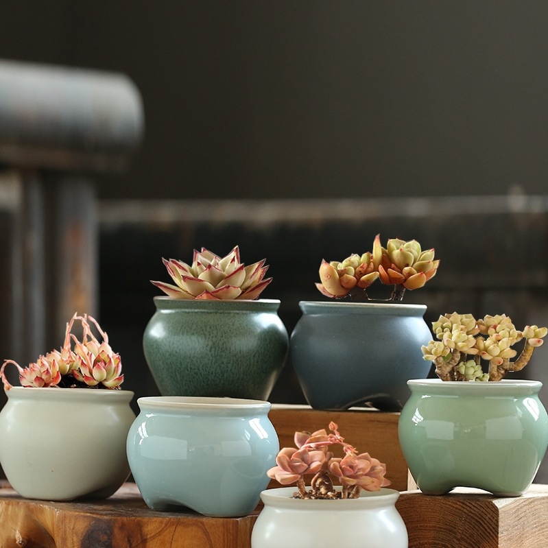 简约多肉花盆陶瓷小花盆创意桌面个性肉肉植物粗陶透气