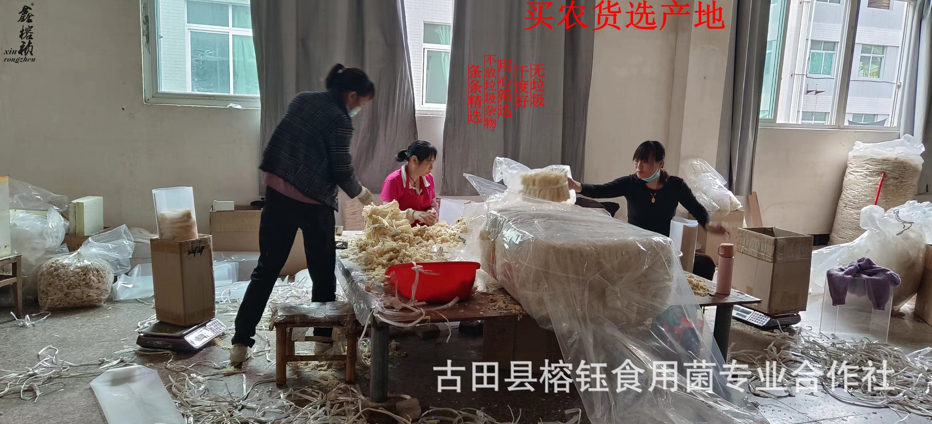 c0320dd2c2b2440e2064c873424ac9