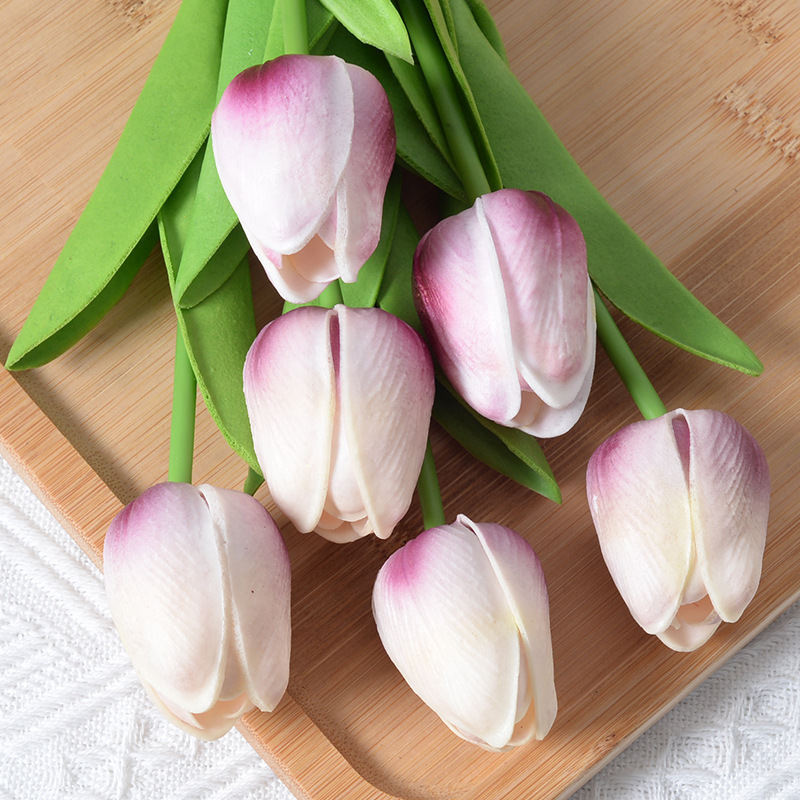Bai Ban Zi Tulip Fragrance