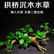 �~���쾰Ī˹��ľ��Ȼ��ˮ��Ľ˹�����ˮ��ľ�^���B�B�~Ī˹��