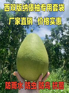 �����״����p��{��̩�����ּ�����������ֱ��o��ɳ�����ִ��״�