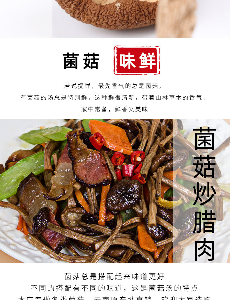 Dried Tea Tree Mushroom Cha Shu Gu Agrocybe cylindracea Whole Dried Mushrooms for Soup and Hot Pot in use