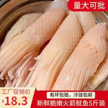 火箭水发鱿鱼重庆火锅食材配菜新鲜鱿鱼鲜活冷冻海鲜深海打捞烧烤