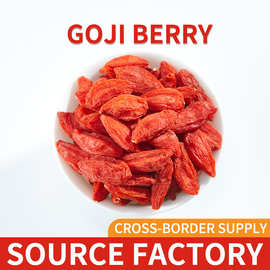 早安情枸杞新货特优特枸杞宁夏枸杞跨境批发