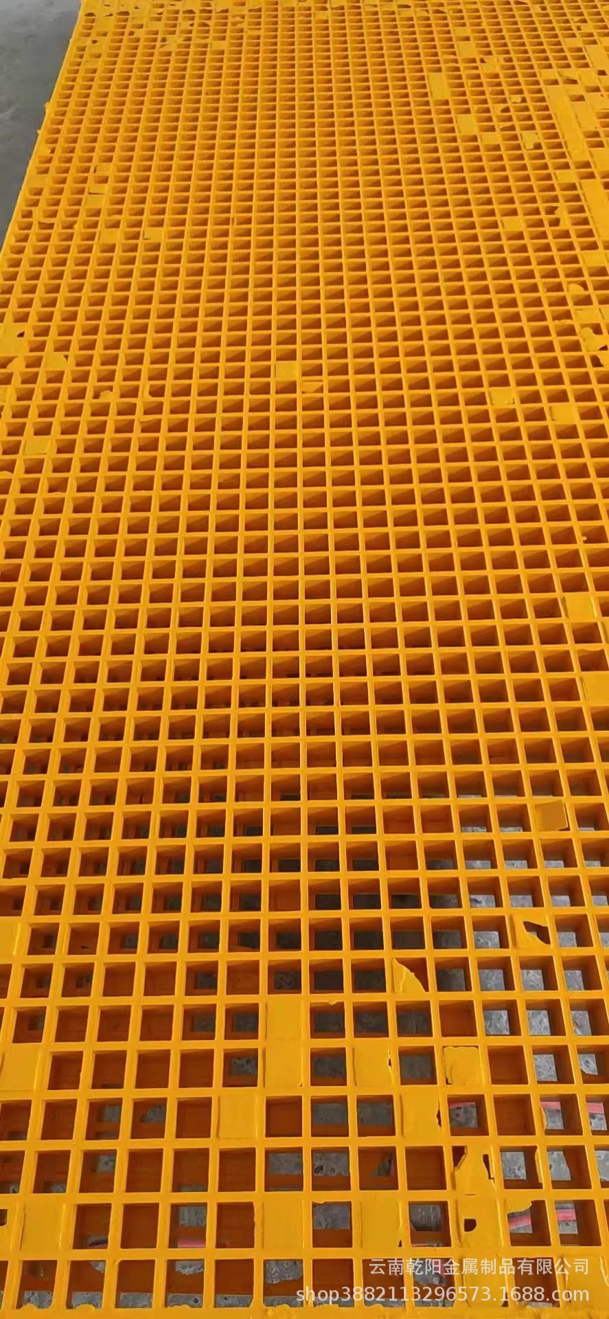 QQ图片20240423131705.jpg