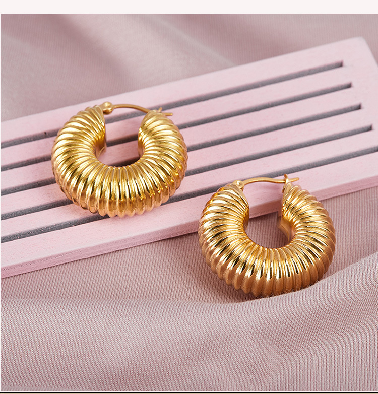 1 Pair Fashion U Shape Stainless Steel Plating Earrings display picture 2