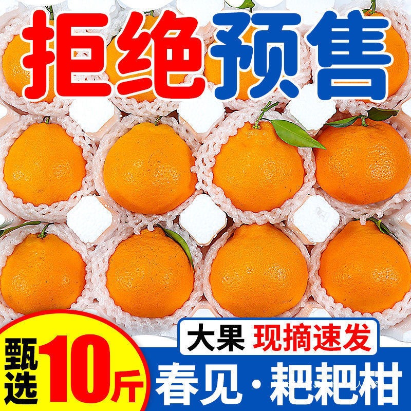 四川眉山耙耙柑正宗浦江春见耙耙柑当季新鲜水果非丑橘