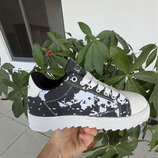 �������QӢ���羳NUMERIS�r���\�����e�p���¿���Ь�r�����泱��
