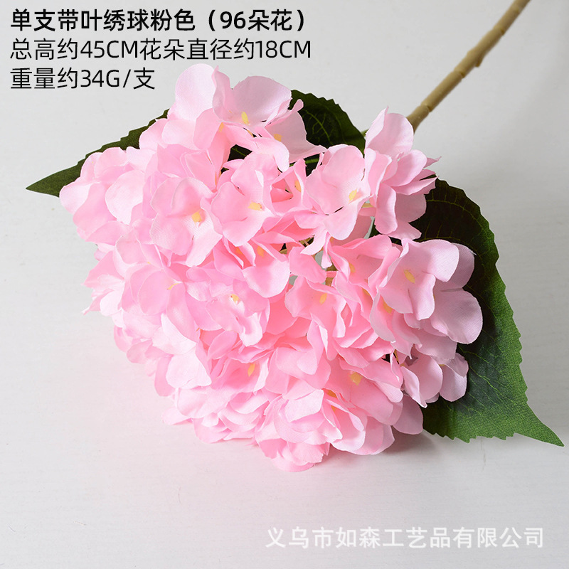 Hortensia sola con hojas rosa