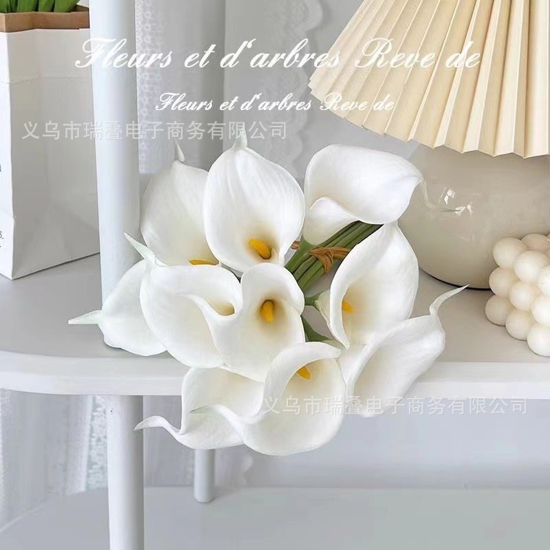 흰색 바탕에 노란색 심