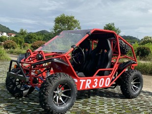 Arctic Sky Transmission Shaft 300Cc Water-Cooled Off-Road Kart Four-Wheel Beach Utv Adult Steering Wheel Motorcycle