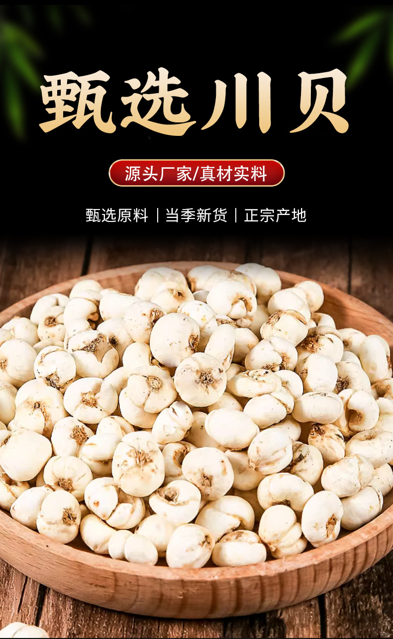 Chuan Bei (Fritillaria cirrhosa) — Dried TCM Herb for Lung-Soothing Teas & Soups overview