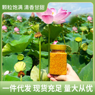 �ɻ������l 250g���r��ʳ�÷仨��δ�ƱڏV����ɏ���� һ�����l