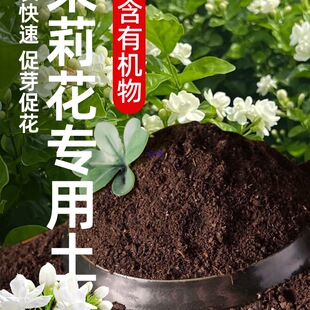 �I�B�������������N��ͨ�û����d�ӻ��軨������������͸��