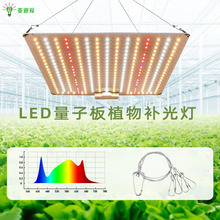�������Ӱ������LEDֲ������������ҵƹܴ����߹������