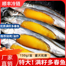多春鱼满籽新鲜商用多籽冰鲜海鱼鲜活冷冻烧烤特大冻海鲜水产食材