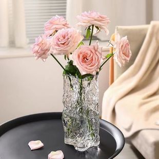 Light Luxury Glass Vase, Living Room Flower Arrangement, High-End Hydroponic Transparent Water Culture, Creative Simple Desktop Decoration Ornaments