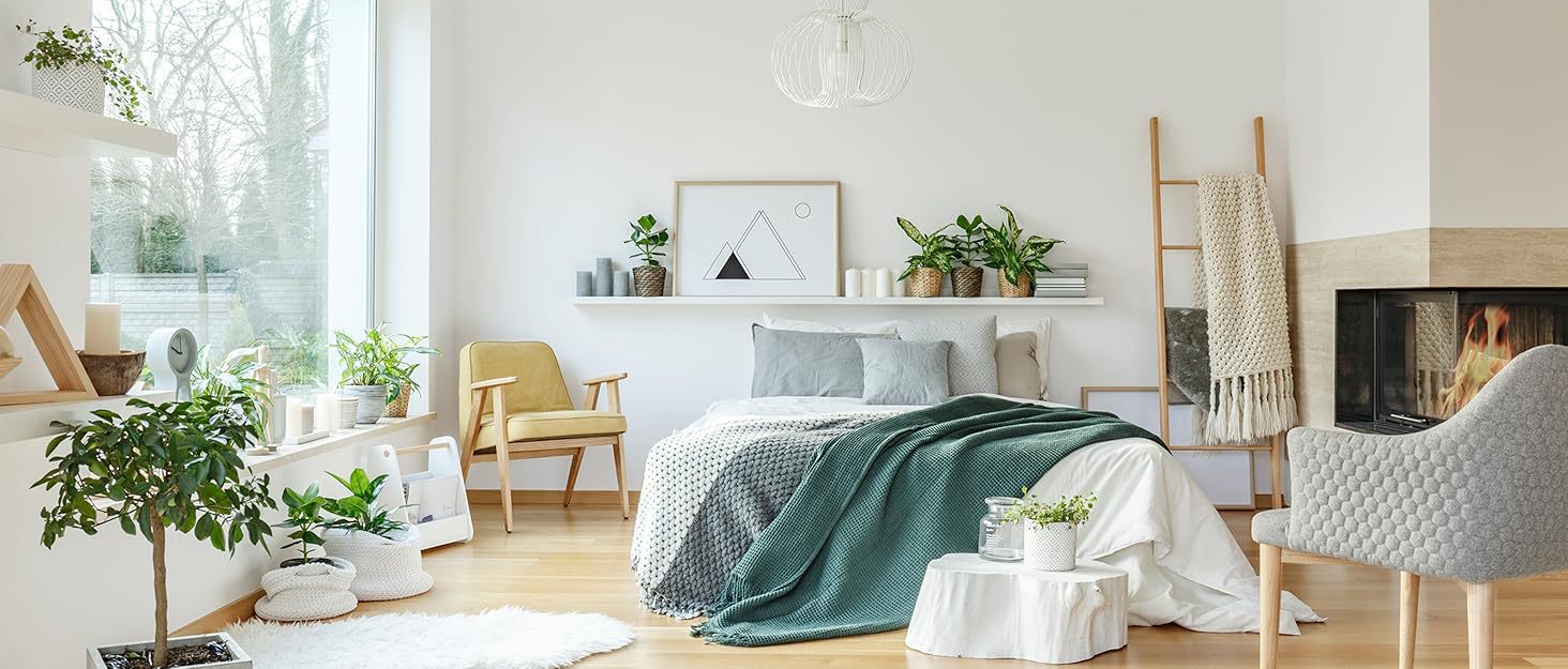 Band Story - Storage