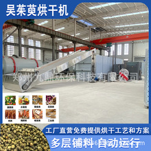 带式吴茱萸烘干机 大型带枝吴茱萸筛选烘干生产线 伏辣子烘干设备