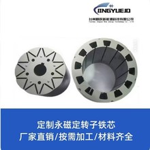 精躍定轉子加工 電機配件 永磁電機 電動汽車配件定轉子鑄鋁定制