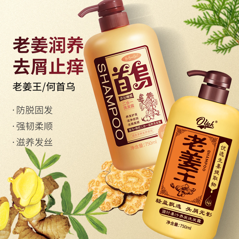 澳葉生薑洗髮水去頭屑清爽蓬鬆控油止癢黑髮老薑王洗髮水一件代發