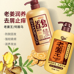 澳葉生薑洗髮水去頭屑清爽蓬鬆控油止癢黑髮老薑王洗髮水一件代發