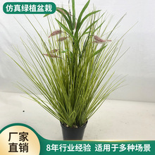 [ݼپGֲԼҾӿ͏dbkҾGֲb[ֲ辰