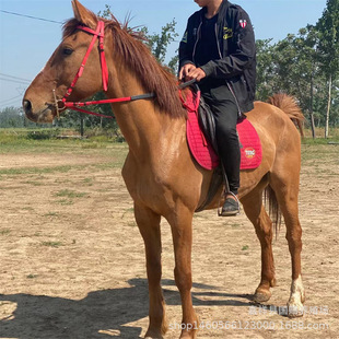 �T���R���R�Rƥ�^�pӰҕ���R���^�Rƥ�������U��Ѫ�R��Ѫ�R