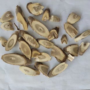 ���˅� ��ș�����l �|�����˅�Ƭ �̅��� ��؛��Ʒ �̅�