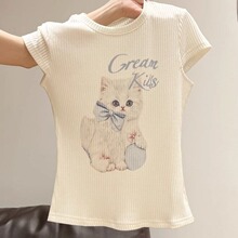 原版面料!天猫抖音质量可爱猫咪印花设计感短袖T恤女